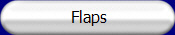 Flaps